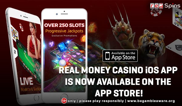 Casino lady costume Cryptocurrency gambling sites