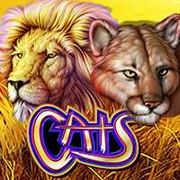 Cats Slots