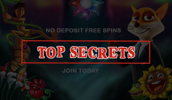 The Secrets Behind No-Deposit Free Spins Offer