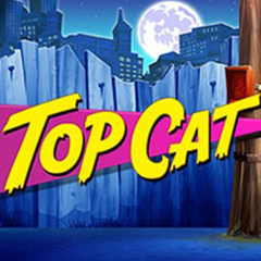 Top Cat