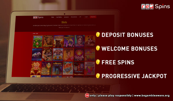 Understanding the Bonus Features in Online Slots
