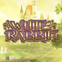 White Rabbit