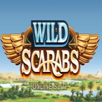 Wild Scarabs