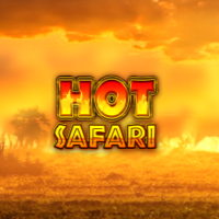 Hot Safari