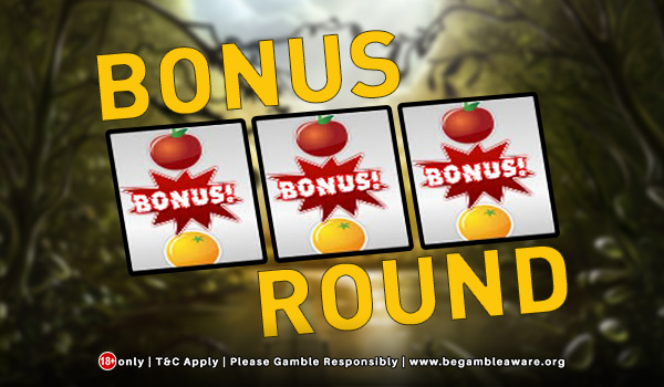 What is an Online Slots Bonus Round?