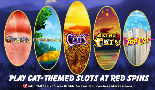 Enjoy Playing Cat - Themed Slots at Red Spins