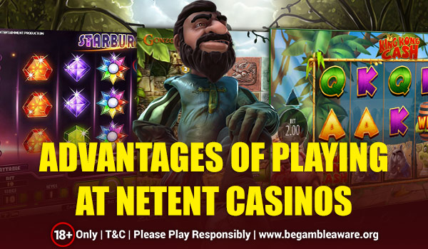 Why Netent Casinos Are the Best?